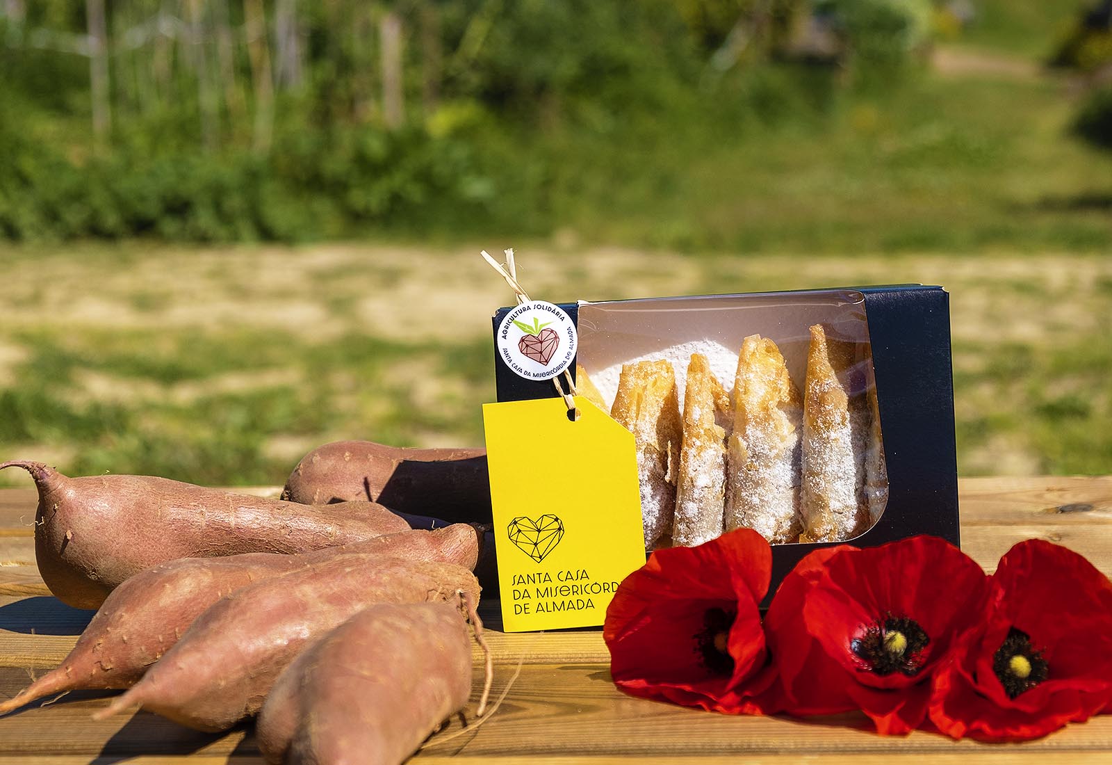 Agricultura Solidária