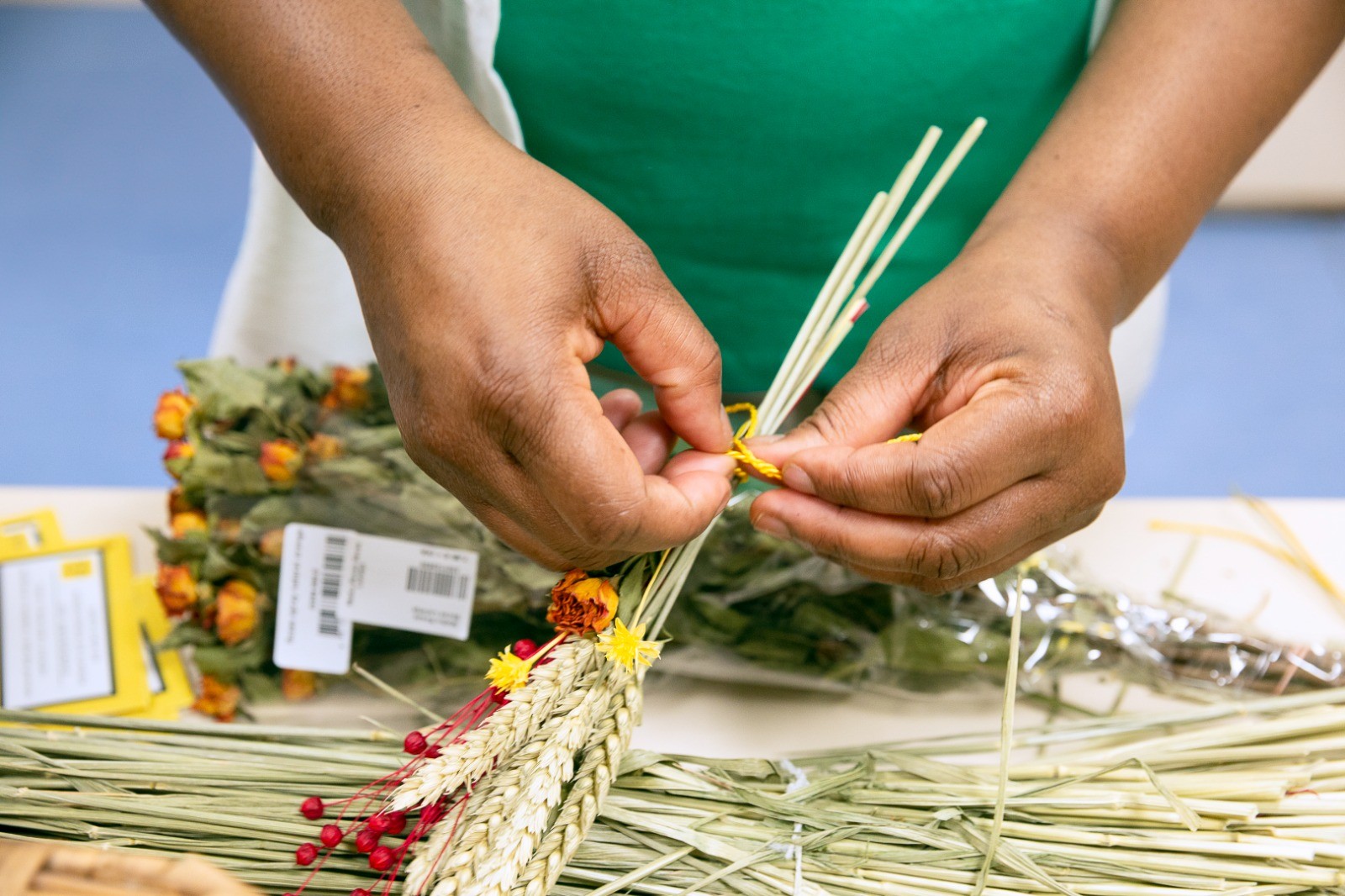 Encontro de voluntários: O papel do voluntariado na SCMA