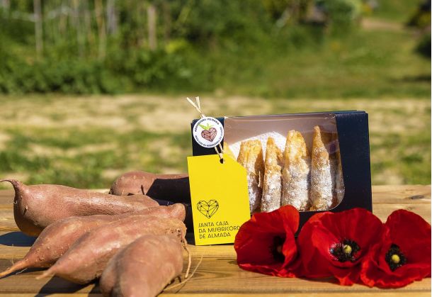 AGRICULTURA SOLIDÁRIA