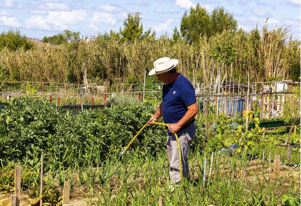 AGRICULTURA SOLIDÁRIA