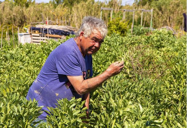 AGRICULTURA SOLIDÁRIA