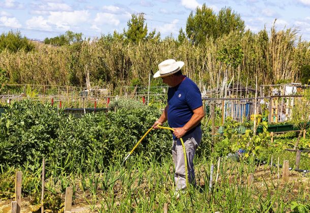 AGRICULTURA SOLIDÁRIA
