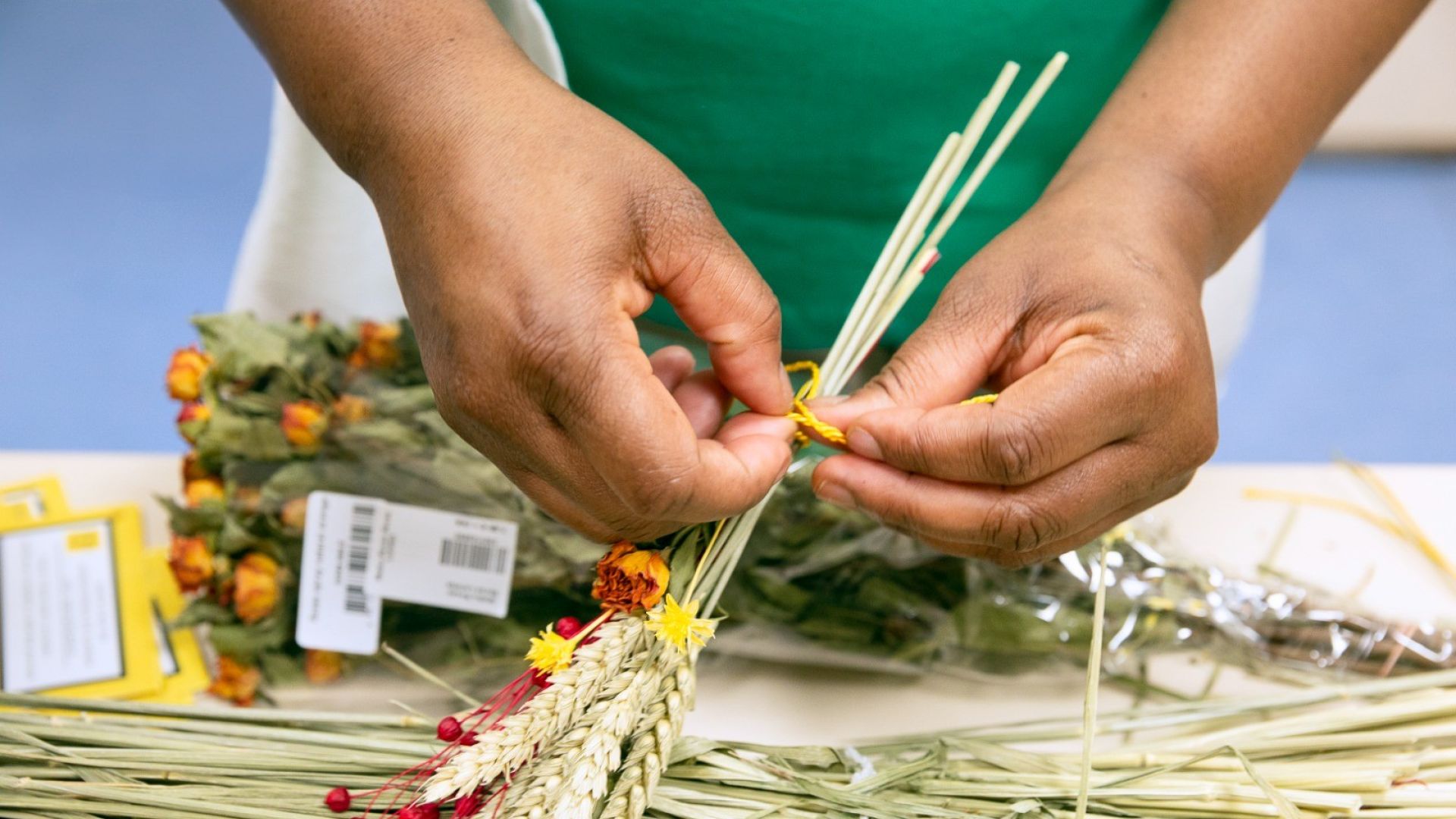 Encontro de voluntários: O papel do voluntariado na SCMA