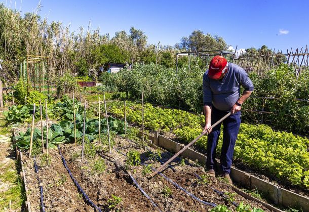 AGRICULTURA SOLIDÁRIA
