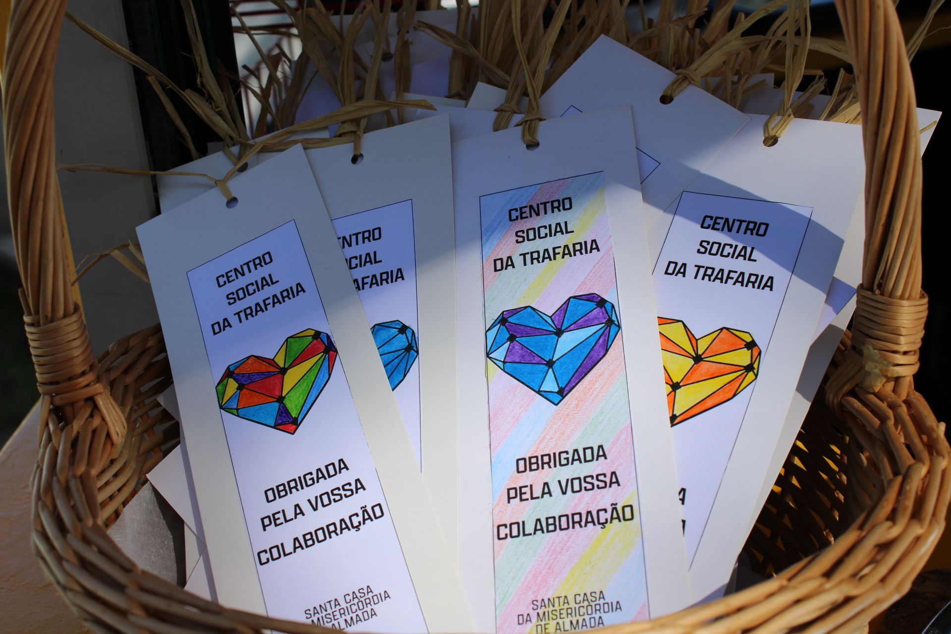 CST | Ação de voluntariado
