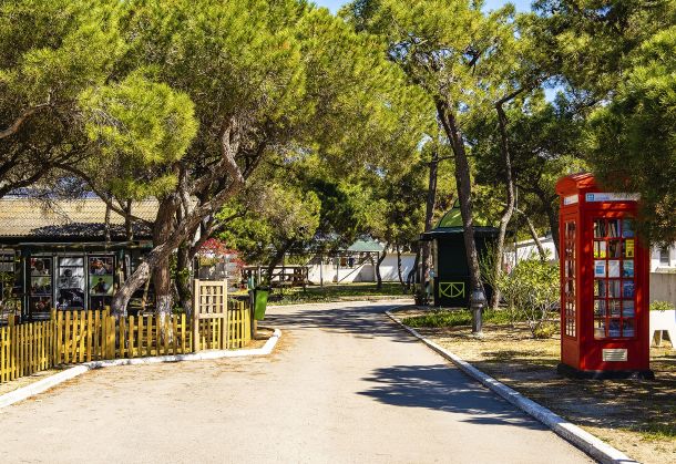 CENTRO DE DIA - CENTRO SOCIAL DA TRAFARIA